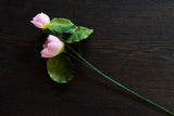 造花(蓮の花)を置いた写真