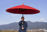 朱傘を開いて掲げた状態｜大きさの目安