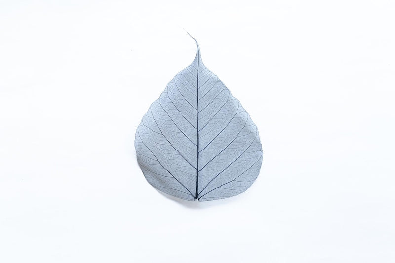 華葩/散華 菩提樹の葉